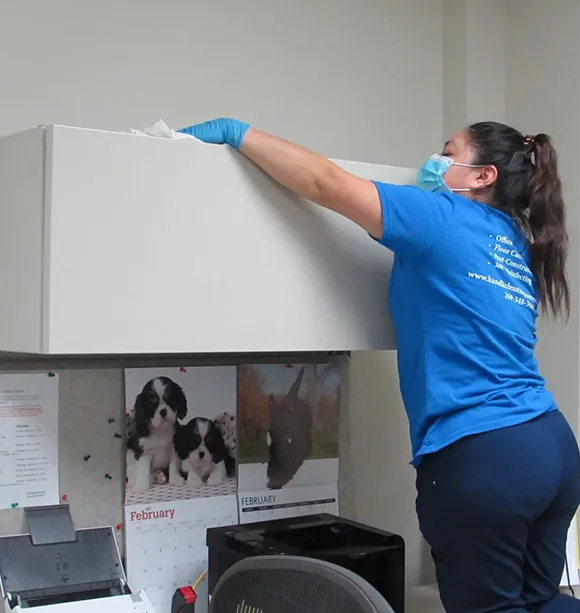 Professional cleaner wiping down a surface in an office in Detroit MI.